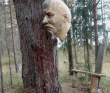 Золотые пляжи Ладоги