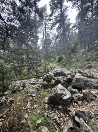 По Ликийской тропе через горы к морю (классический пеший поход)