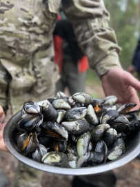 Белое море на морских каяках (байдарках): Карельский берег