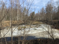 Ночь в Партизанской пещере (с пещерным кинотеатром)
