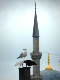 Из Европы в Азию: Стамбул + Каппадокия
