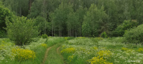 Велопоход в арт-парк Никола-Ленивец