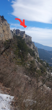 Южное цветочное путешествие: подснежники Крыма