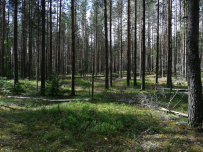 Пеший поход в Каннельярви