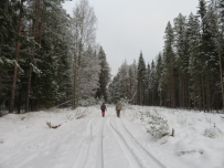 Карельская Ниагара