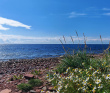 Аметистовый берег Белого моря