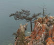Байкал. Цветение Сибирской сакуры: тур по Ольхону и Тажеранским степям