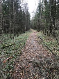 Тропа Вятичей
