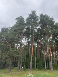 Сплав по реке Волга с Бенскими порогами (Тверская область)