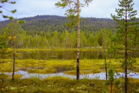 Колвица на морских каяках (байдарках). Путешествие на землю Саамов