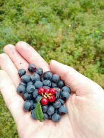 Ладога на каяках длинный поход (4-9 дней)