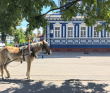 Знакомьтесь, Нижний! Велопоход