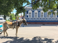 Знакомьтесь, Нижний! Велопоход
