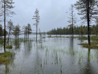 Крыша Карелии (национальный парк Паанаярви)