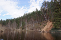 Сплав на байдарках по реке Осуга