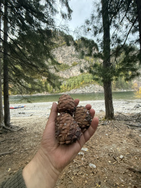 Сплав по рекам Жомболок и Ока Саянская