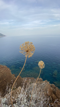 В Сердце Ликийской тропы (Поход вдоль моря, без рюкзаков)