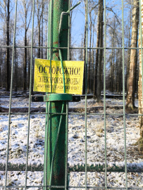 Однодневный пеший поход «В гости к зубрам» (Подмосковье)