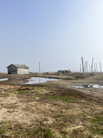 Аметистовый берег Белого моря