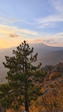 Алустон комфорт-тур