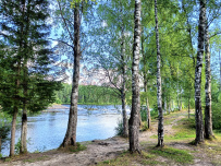 Сплав по реке Шуя