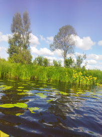 Сплав по рекам Александровка и Гороховка