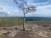Ландшафтные театры Карелии