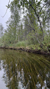 Колвица на морских каяках (байдарках). Путешествие на землю Саамов