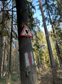Красоты Мещёры с ночёвкой в тёплом доме (пеший поход)