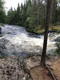Сплав по реке Пистайоки (Писта)