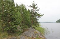 Водное ассорти с детьми: на лодках, байдарках, сапах