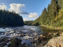 Сплав по реке Шуя