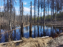 Водопады Ладожской Карелии