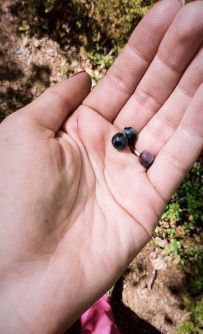 Выходные на озере Ястребиное и Больших скалах