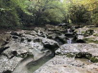Сказка Кодорского ущелья
