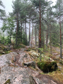 Ландшафтные театры Карелии