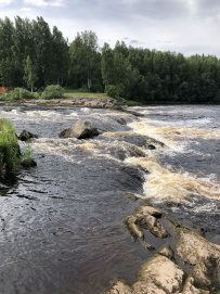 Сплав по реке Шуя