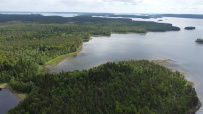 Белое море на морских каяках (байдарках): Карельский берег