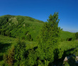 Природный Парк Большой Тхач [Кавказ]