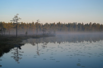 Аметистовый берег Белого моря