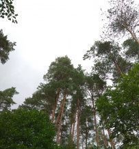 Пеший поход в Каннельярви