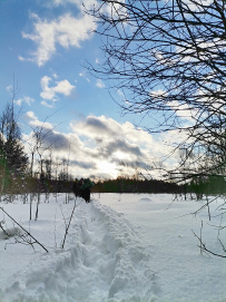 Сложный однодневный поход «Тропешка-2»