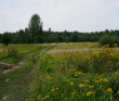 Сплав с баней по реке Клязьма