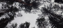 Ледовый поход: заброшенный финский маяк