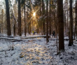 Пеший экстрим-поход «Лесной Хардкор»