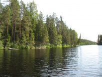 Сплав по реке Шуя