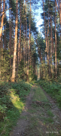 Велопоход из Покрова в Куровское