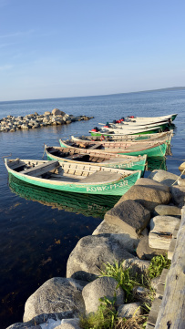 Соловецкие острова на морских каяках