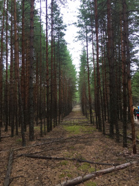 Пеший поход «В долину семи озёр»