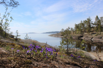 Крыша Ладоги